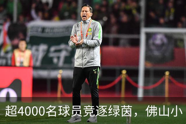超4000名球员竞逐绿茵，佛山小“西甲”圆满落幕